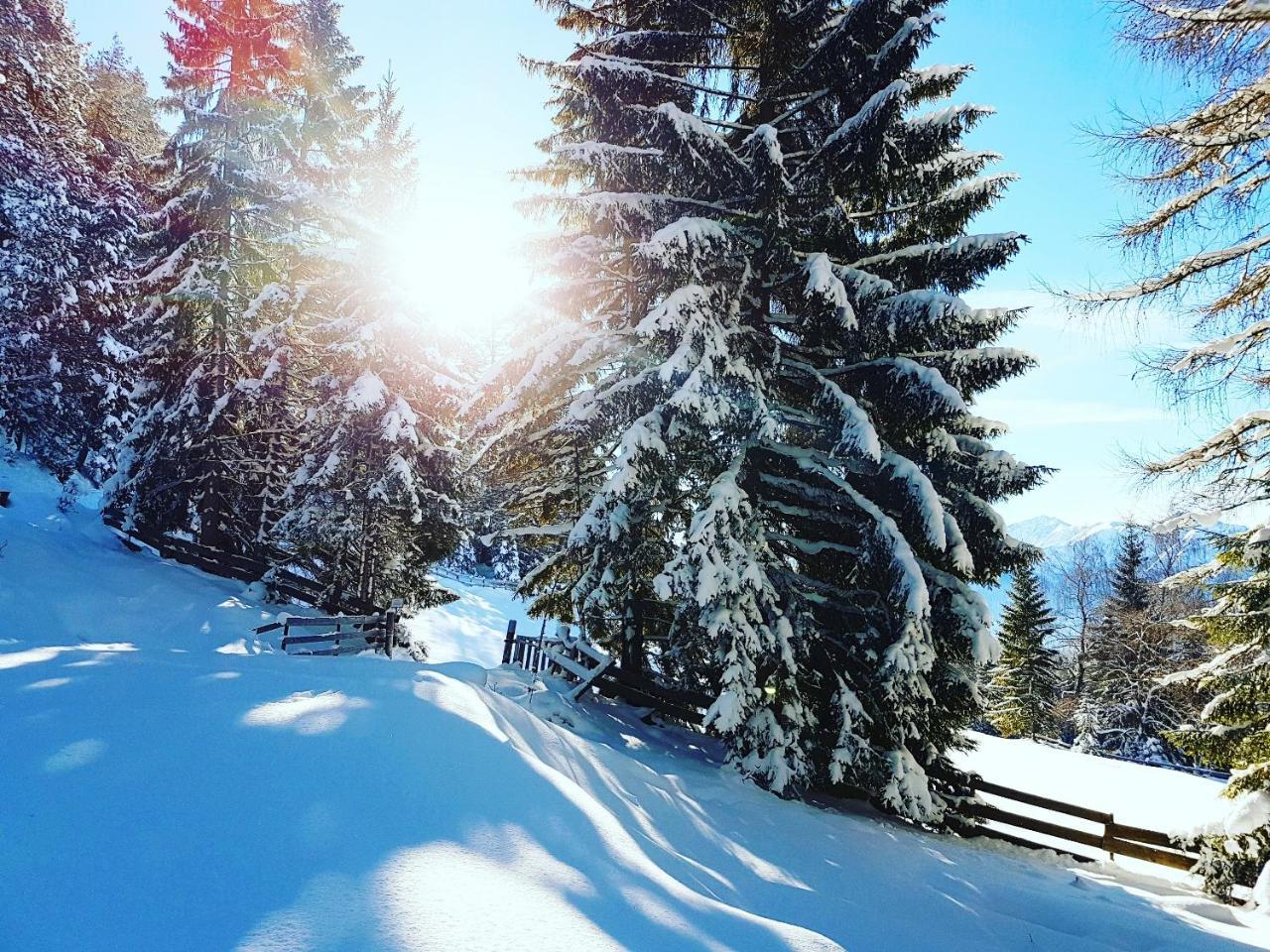 My Apartment Krinzwald Seefeld in Tirol Ngoại thất bức ảnh